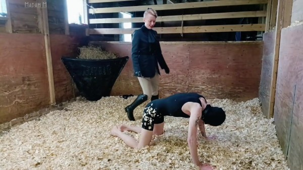 Madam M - Savage Stables Stomping dressage cropping skin scraping and humiliating beatdowns for the stable boy