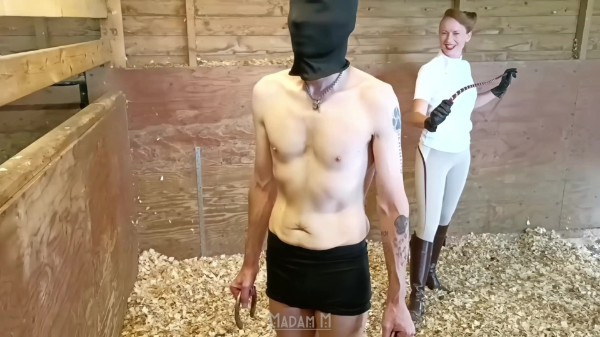 Madam M - The Stinging Stables Serpent brutal snake whip single-tail whipping extreme punishment